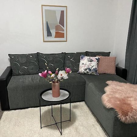 Apartman Aleksic ยาโกดินา ภายนอก รูปภาพ