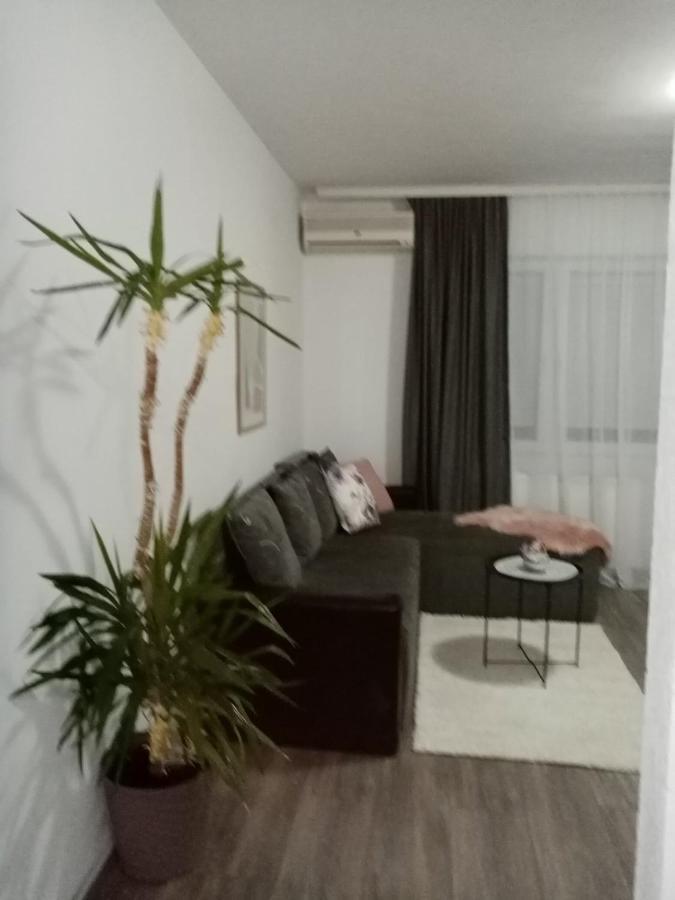 Apartman Aleksic ยาโกดินา ภายนอก รูปภาพ