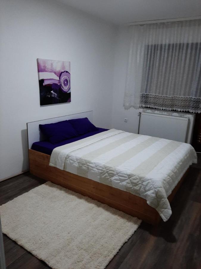 Apartman Aleksic ยาโกดินา ภายนอก รูปภาพ