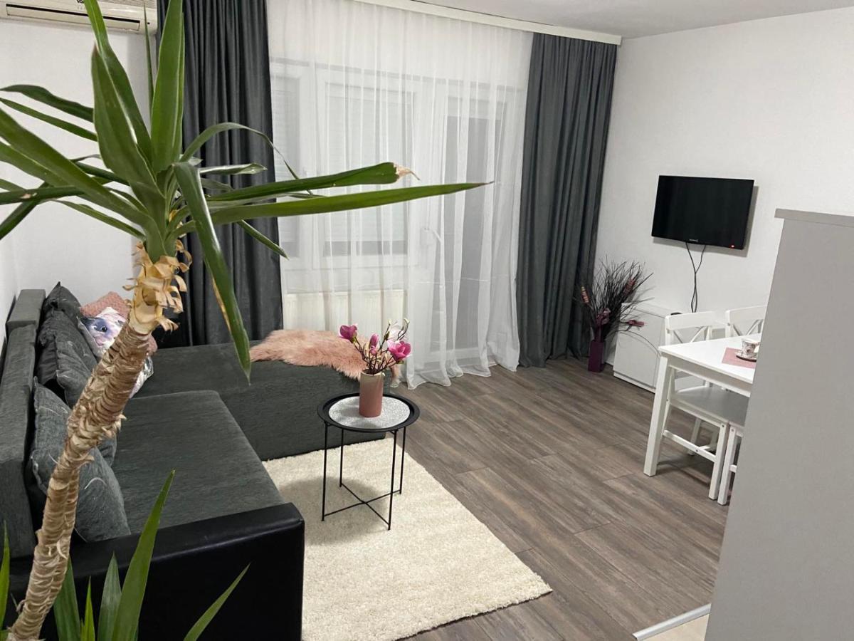 Apartman Aleksic ยาโกดินา ภายนอก รูปภาพ