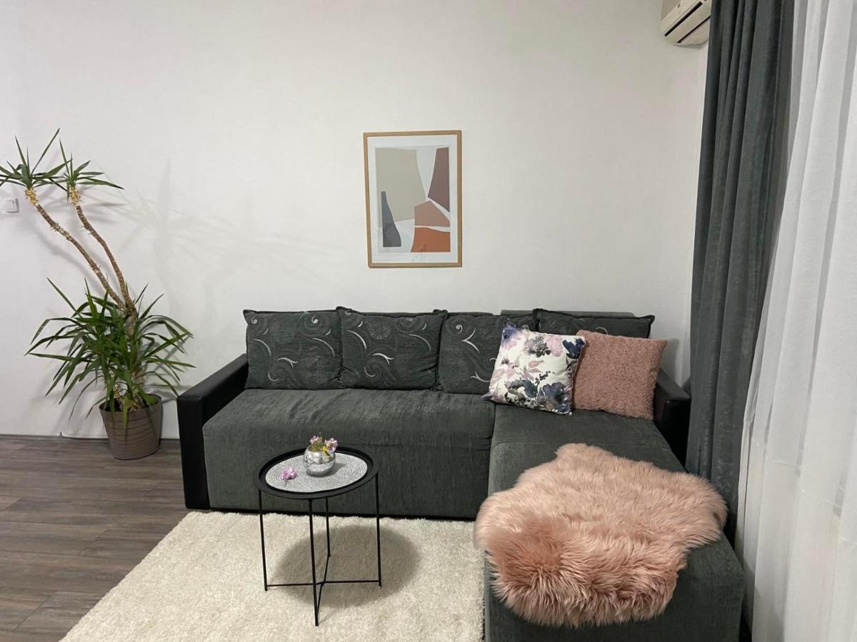 Apartman Aleksic ยาโกดินา ภายนอก รูปภาพ